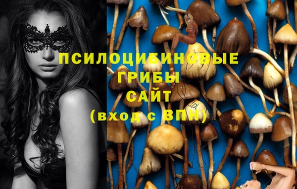 герыч Магас
