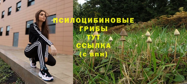 ешки Липки