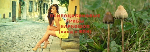 a pvp Лиски