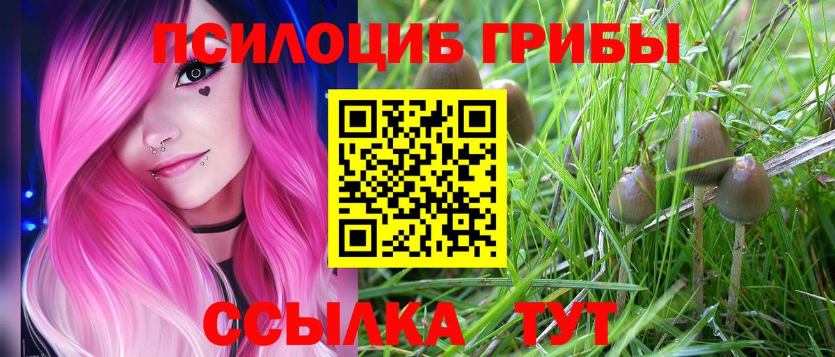 Псилоцибиновые грибы мицелий Троицк