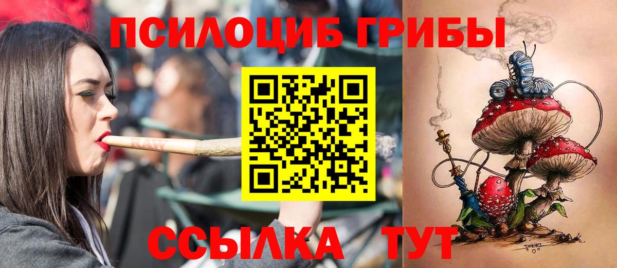 Псилоцибиновые грибы мицелий  Вход с VPN  Троицк 